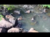 Rio Jaguari está seco em alguns pontos
