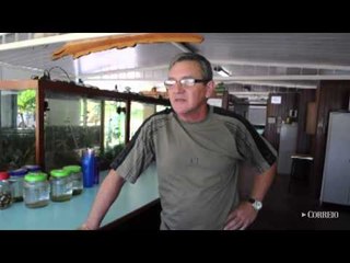 Revitalização da Praia dos Namorados fica no papel