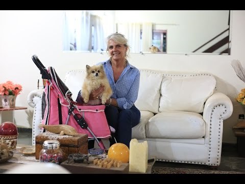 Cadelinha barrada em evento põe campineira sob holofotes