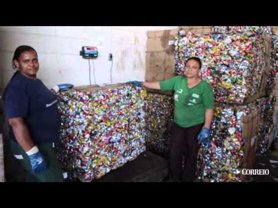 Cooperativa moderna e lucrativa