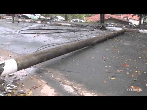 Temporal com ventos de até 126km/h derruba árvores em Campinas