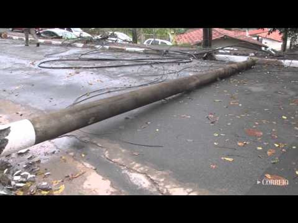 Temporal com ventos de até 126km/h derruba árvores em Campinas