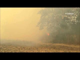 Internauta grava fogo no trajeto da maria-fumaça