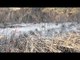Fagulha da maria-fumaça causa incêndio e destrói áreas verdes