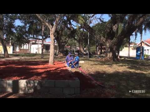 Poda de árvores em praça revolta moradores