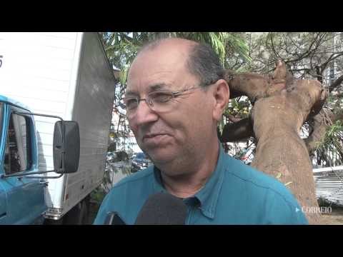 Árvore cai e moradores ficam 'ilhados' em prédio