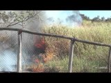 Incêndio atinge parte do Parque Ecológico