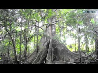 Fechado, Zoo de Pedreira sofre com precariedades