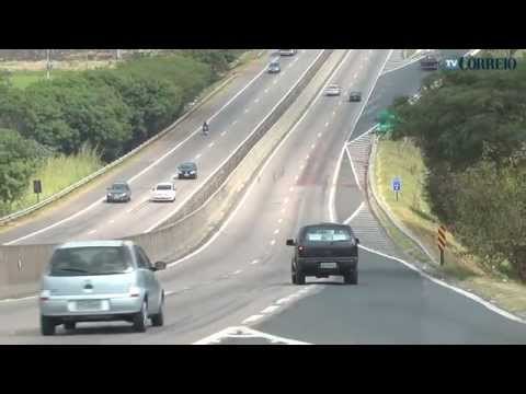 Acidente envolve 10 veículos e seis cavalos na SP 101