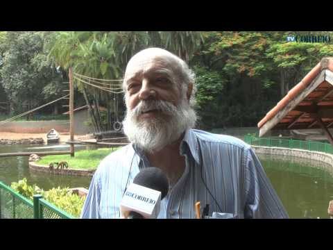 Para aliviar o calor, animais do bosque recebem sorvete