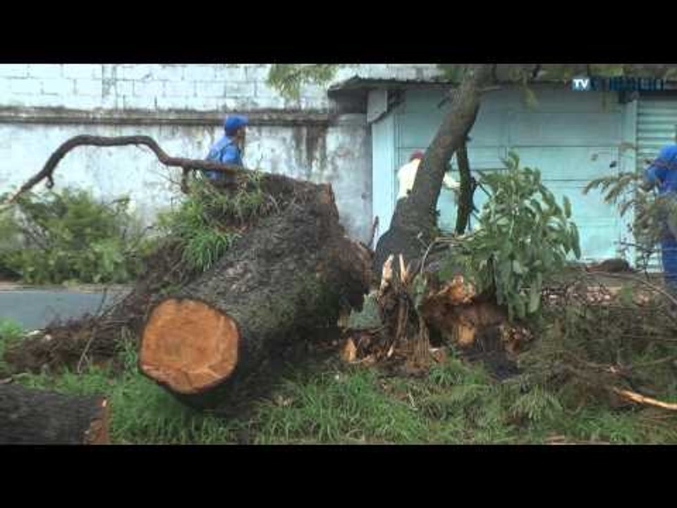 Temporal nesta sexta-feira provoca estragos em Campinas