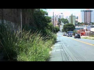 Mato obriga pedestres a andar em avenida