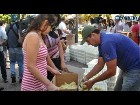 Produtores doam pintinhos em Campinas