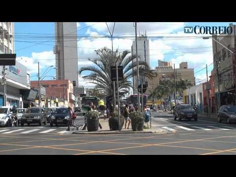 Cresce número de atropelamentos em Campinas