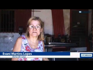 Gatos são envenenados em Campinas