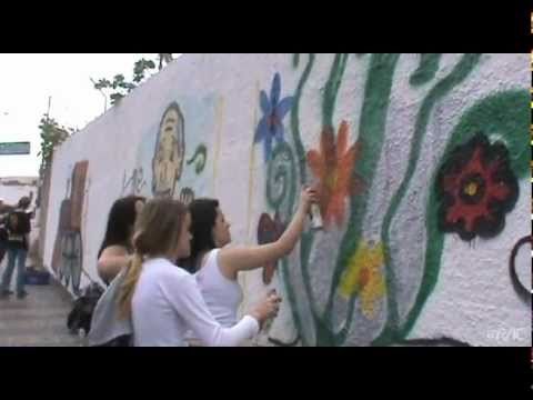 Iniciativa de alunos embeleza bairro de Campinas