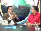 Diputado Aleman asegura que participación de elecciones del Psuv garantizará victoria en 2015