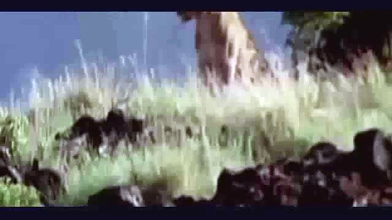 Amazing and mysterious movies,Discovery History, amazing wild animal, amazing videos, National Geogr