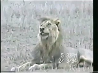 her cheez ku moat ani hai,,,,,,