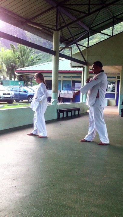 Taekwondo - Novembre 2014