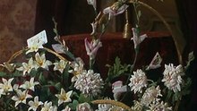 Без вины виноватые