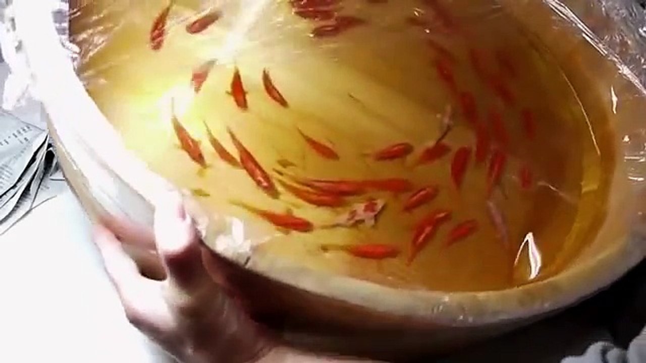 Painting Level ASIAN