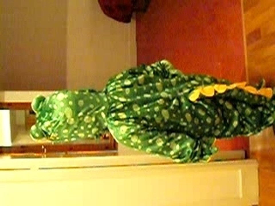 LE CROCODILE