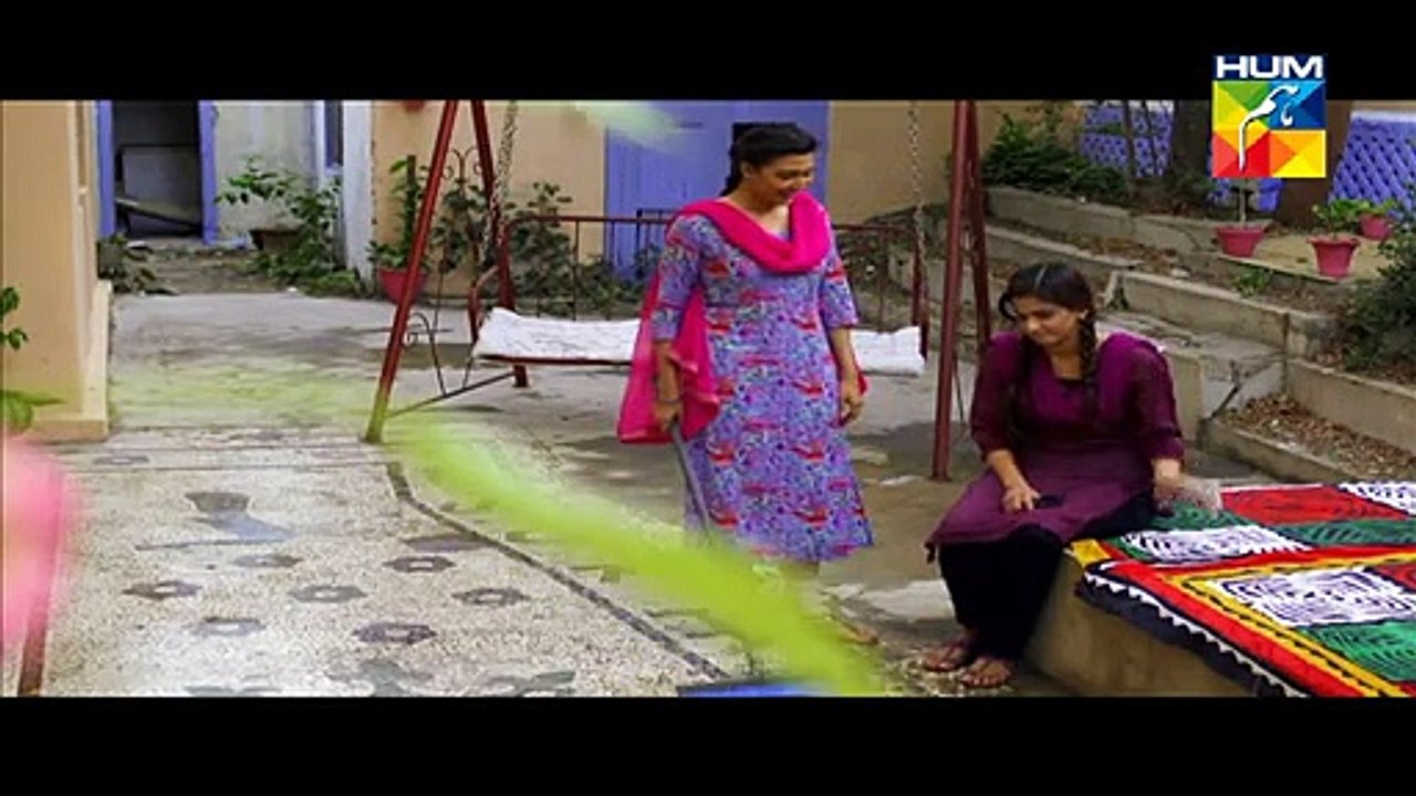 Digest Writer Episode 8 Full HUM TV Drama - www.dramaserialpk.blogspot.com