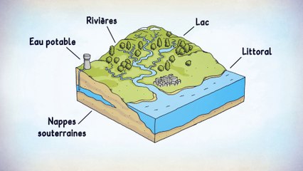 Tous concernés par l’eau