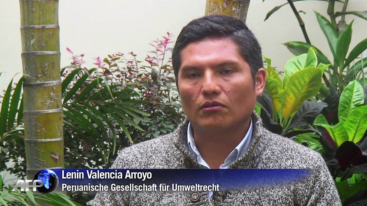 Goldrausch in peru führt zu umweltkatastrophe