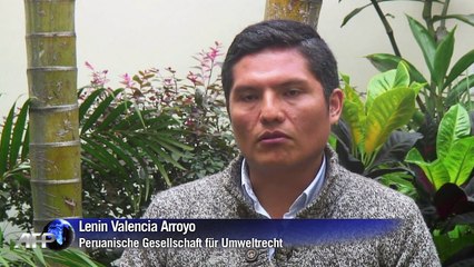 Goldrausch in Peru führt zu Umweltkatastrophe