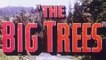 The Big Trees (1952)  Kirk Douglas, Eve Miller, Patrice Wymore.  Western