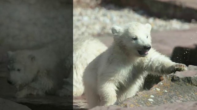 Le sujet, c’est l’adaptation au changement climatique