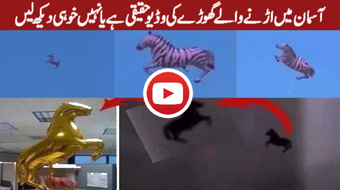 Reality of flying horse in the sky?