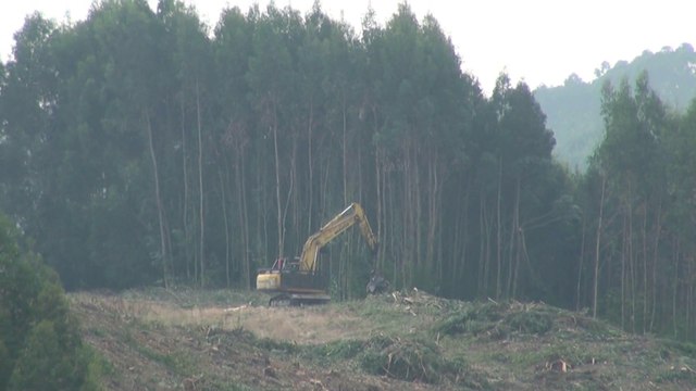 Principado Asturias aprovechará los montes para crear empleo