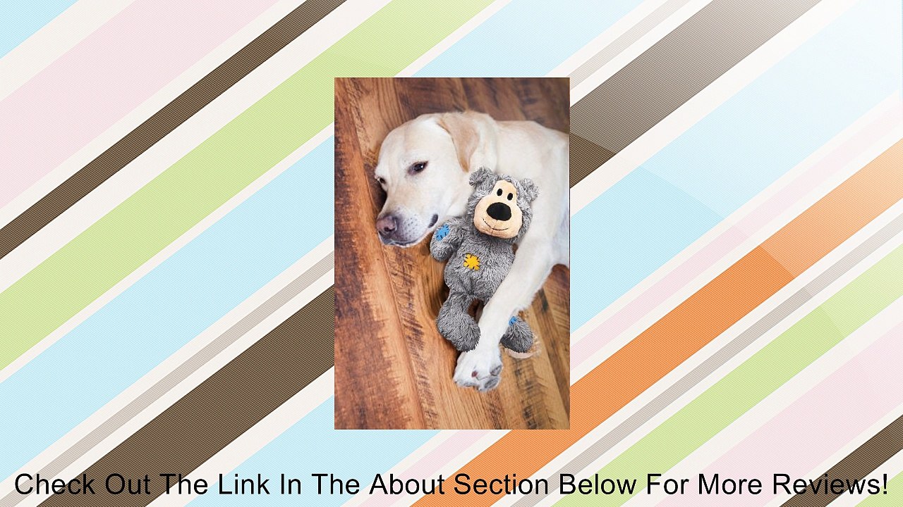 KONG Wild Knots Bears Durable Dog Toys Review