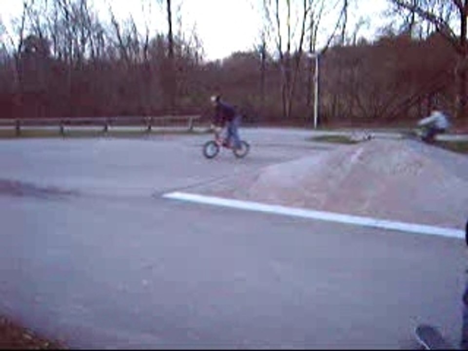 IMG20264