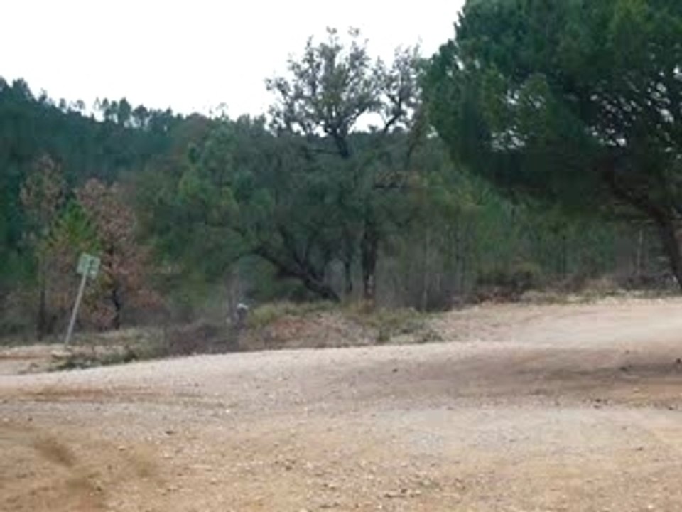 saut