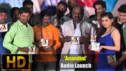 'Anandini' Audio Launch