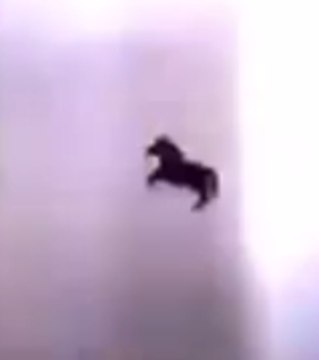 END TIMES? MY TAKE ON BLACK HORSE SEEN FLYING THROUGH THE SKY OF SAUDI ARABIA