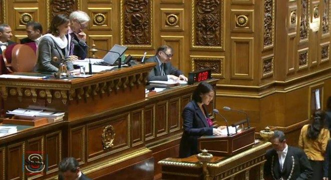 Budget Culture 2015 : Discours de Fleur Pellerin au Sénat