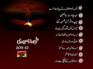 NOHA KHAN ALI RAZA HAIDRI ALBUM 2011-12