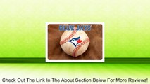 MLB Toronto Blue Jays Baseball Pet Mat Review
