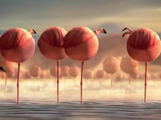 E se os animais comessem fast food?