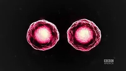 Orphan Black - Saison 3 (teaser)