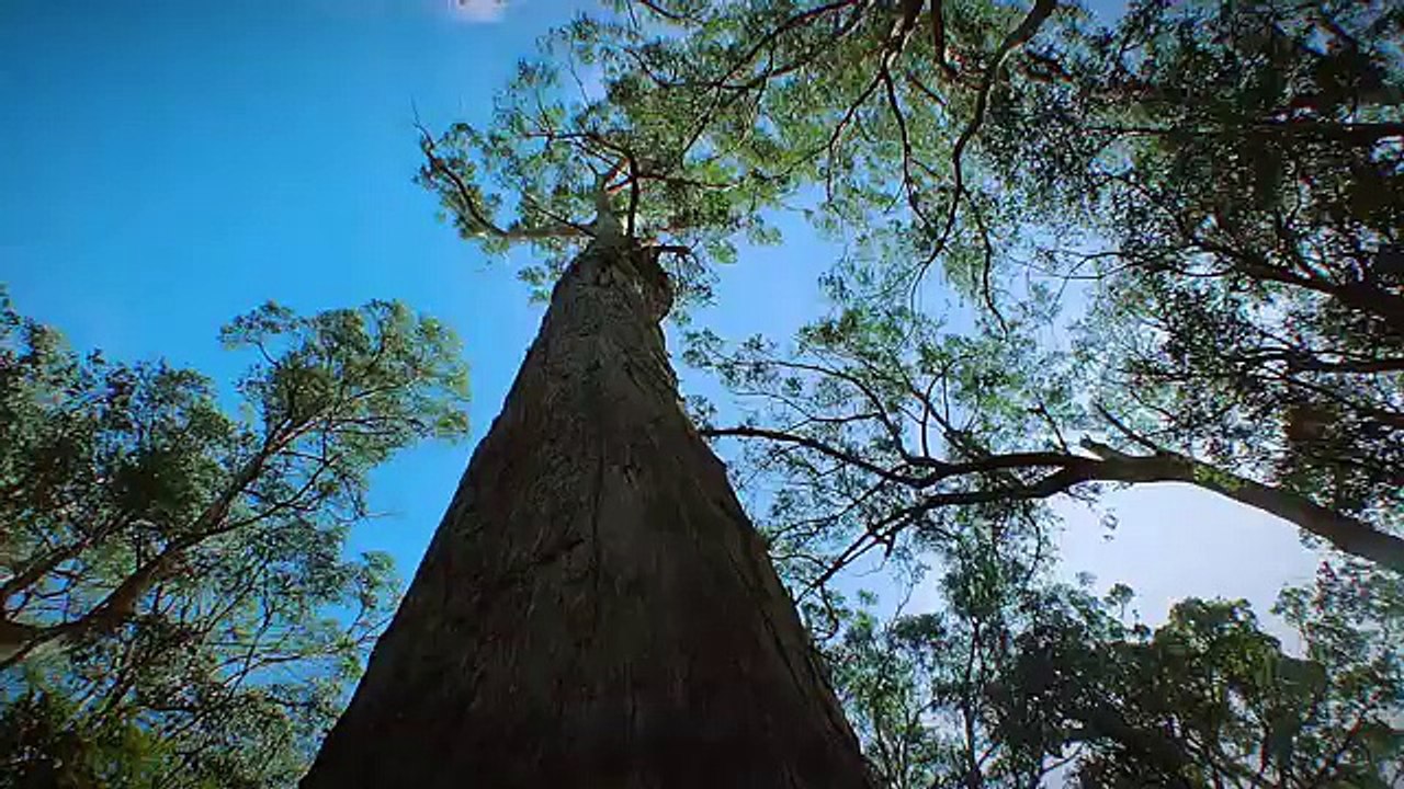 Tasmania, Australia in HD
