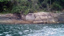 Arquipélago da Almada, navegação, mergulho submarino, Marcelo Ambrogi, Ubatuba, SP, Brasil, peixes raros, corais, (75)