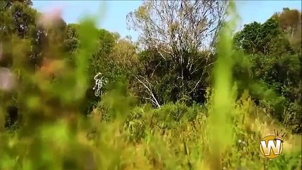 Girls Win Compilation 2014 -- MW