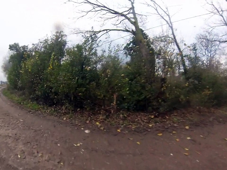 Dyno...... Dyno-quad !