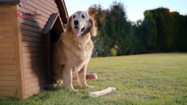 Sahibinden.com Reklam Filmi